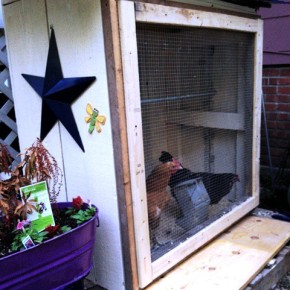 A homemade bar converted to a Chicken Coop…an upcycle story